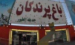 باغ پرندگان مشهد با دستور قضایی پلمپ شد