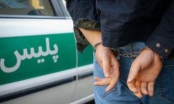 جمع آوری و ساماندهی معتادان تاثیر مستقیم در کاهش وقوع سرقت دارد