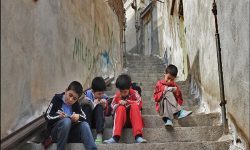 ۲۲ هزار دانش آموز در خراسان رضوی از تحصیل بازمانده اند