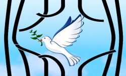 آزادی ۲۰۰زندانی جرایم غیر عمد در پویش سفیران آزادی در مشهد