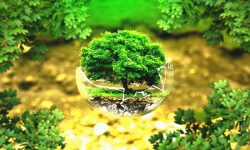 مساحت زیستگاههای خراسان رضوی۲ میلیون و ۵۰۰ هزار هکتار است
