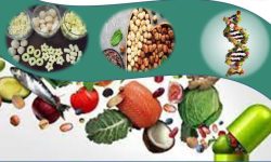 تولید غذاهای فراسودمند راهکاری ساده برای ارتقای سلامت جامعه است