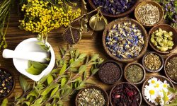 رشد بیش از ۶۰ هزار هکتار کشت گیاهان دارویی