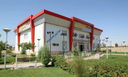 توزیع بیش از ۳۵۰ تن کالای تنظیم بازار در فروشگاه‌های شهرما