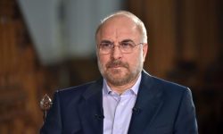 شهدای وحدت به ما آموختند که اهل سنت برادر و جان ما هستند