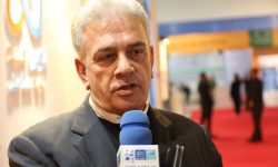 نیاز سالانه خراسان رضوی به یک میلیون و دویست هزار تن نهادهای دامی