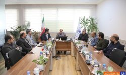 الگوی موفق سازمان ساماندهی مشاغل شهری برای شهر شیراز