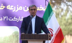 نیازمند تسریع در روند احداث نیروگاههای خورشیدی هستیم