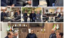 تاکید بر جذب حداکثری کودهای شیمیایی برای کشت پاییزه