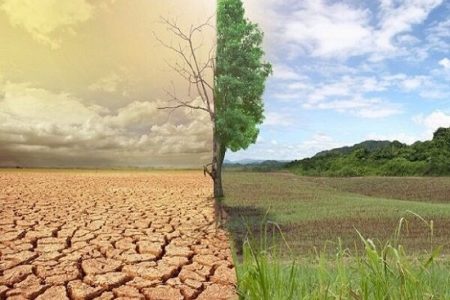 هشدار منابع طبیعی خراسان رضوی درباره تشدید تنش‌های اقلیمی؛ افزایش ۱.۵ درجه‌ای دما و فشار بر جنگل‌ها