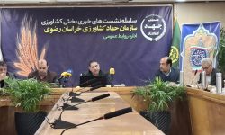 امنیت غذایی با مدیریت سنتی حفظ نمی‌شود / توزیع بیش از ۲ هزار و ۶۷۴ تن برنج در بازار استان