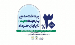۳۰ درصد تخفیف پرداخت بدهی الیت تا پایان خرداد