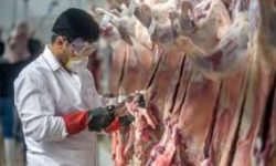 آمادگی کامل برای اجرای طرح نظارت بهداشتی عید قربان
