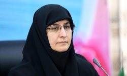 ۸۶ درصد از دانش آموزان خراسان رضوی در جشنواره «جابر بن حیان» شرکت کردند