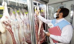 آمادگی دامپزشکی خراسان رضوی برای اجرای طرح تشدید نظارت بهداشتی در دهه پایانی ماه صفر