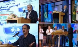 از «بیمارستان واقعاً بینظیر» تا «فرهنگ ایمنی» و «آرامش زائر»؛ روایت مسئولان از ایمنی در بیمارستان رضوی و حرم مطهر